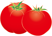 野菜や果物にも抗血栓性がある。
